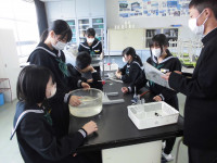 CIMG9928