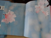 CIMG4958