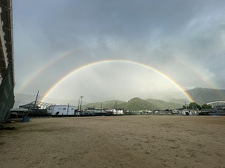 IMG_3622